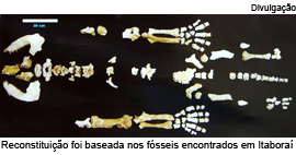 Reconstituição foi baseada nos fósseis encontrados em Itaboraí