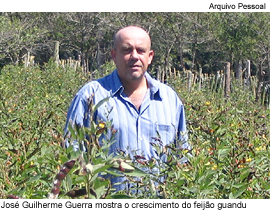 José Guilherme mostra o crescimento do feijão gandu