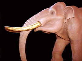 Réplica do Mastodonte brasileiro 