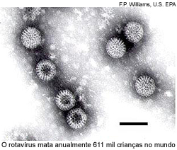 O rotavírus mata anualmente 611 mil crianças no mundo