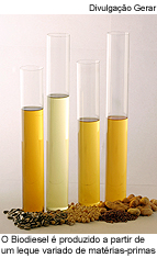 O Biodiesel é produzido a partir de um leque variado de matérias-primas