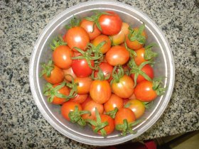 Projeto propõe uma forma natural de adubar o tomate orgânico, sem comprometer o solo
