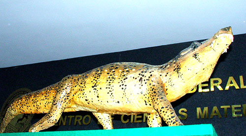 Réplica do <i>Uberabasuchus terrificus</i> por Ariel Milani
